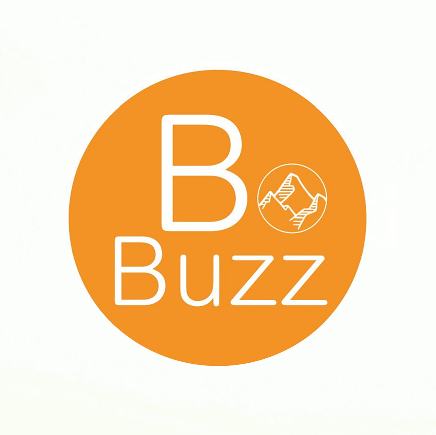 logo buzz-solutions.be